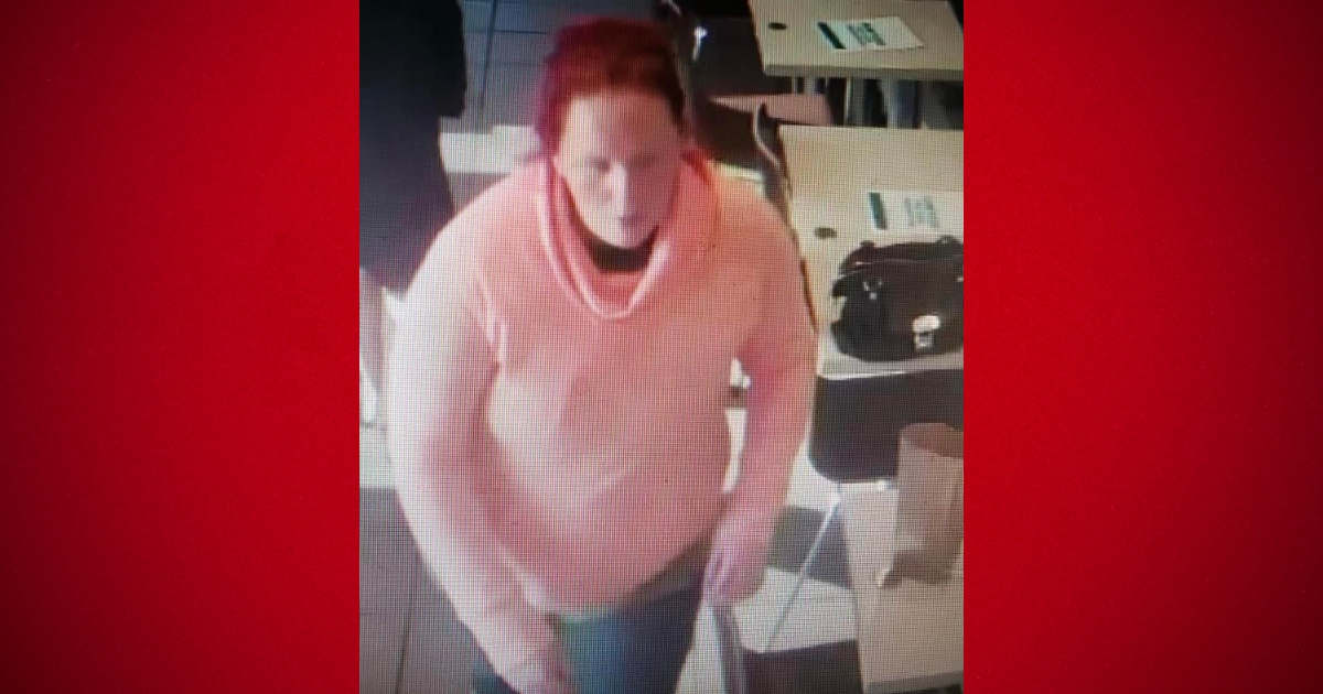 Dunnellon Police investigating theft asking for help identifying woman 1