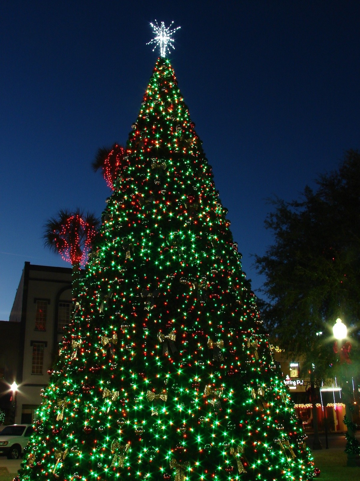 Holiday Tree In Downtown Ocala