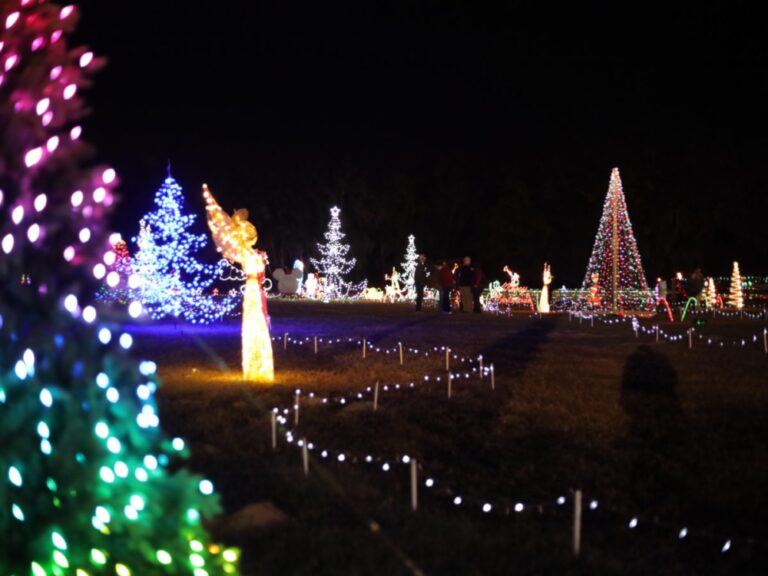 Ocala Christmas Light Spectacular returns to Florida Horse Park