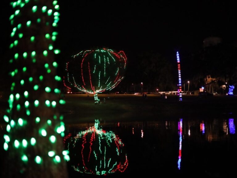 Light Up Lake Lillian in Belleview Florida 1