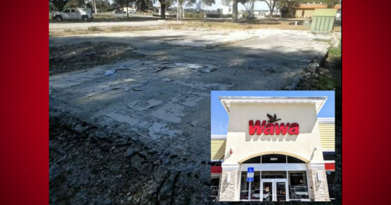 New Wawa at SR 200, SW 100th Street paying fee to county for unplanted trees