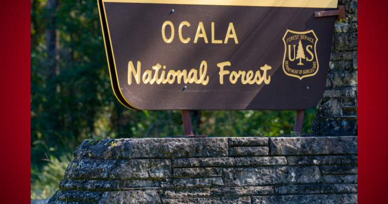 Ocala National Forest reopening campgrounds