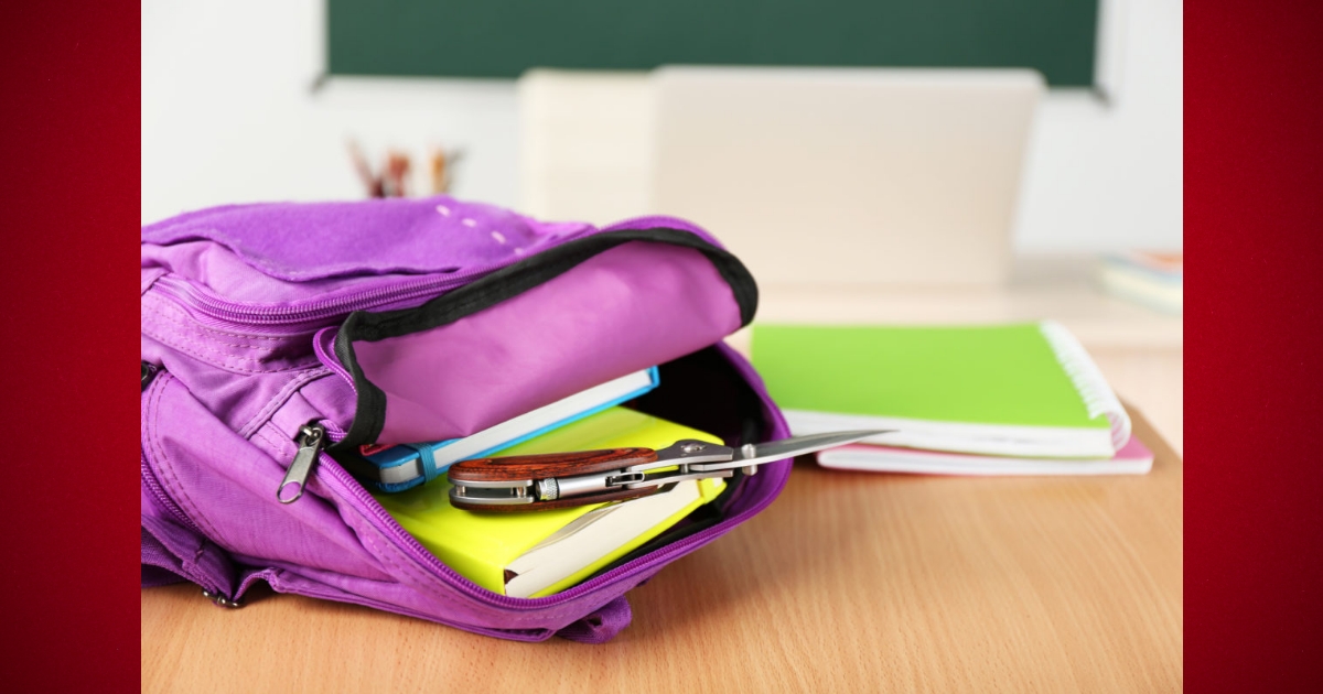 Ocala resident feels schools need more security safety measures