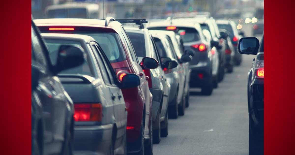 Ocala residents share thoughts on city8217s growth affecting traffic wildlife