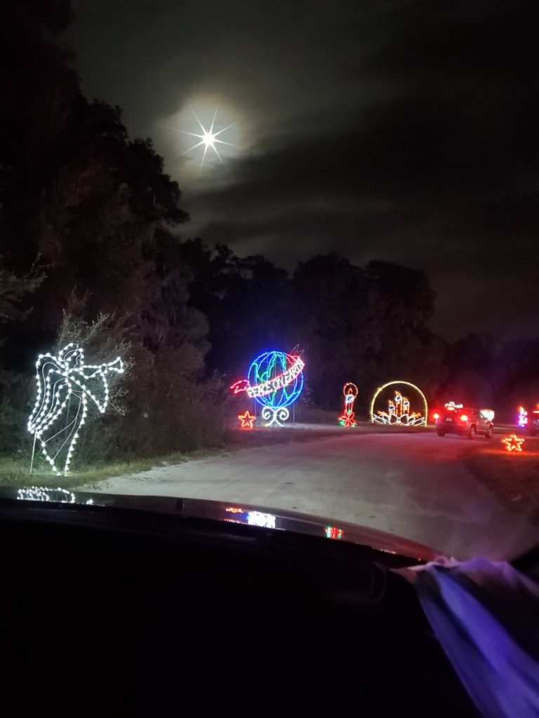 Twinkle Above Florida Horse Park Christmas Lights