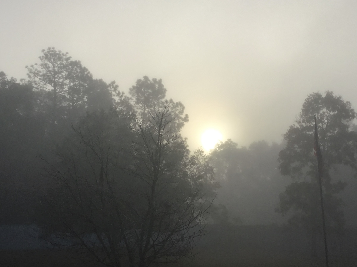 Sun Shining Through Morning Fog Over Ocala