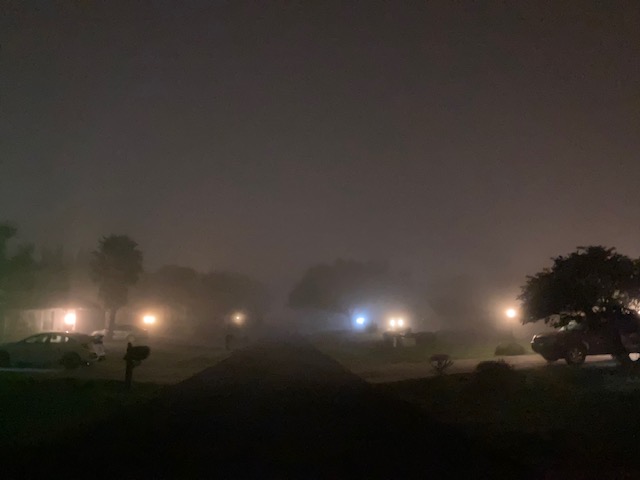 Thick Fog Over Ocala Neighborhood
