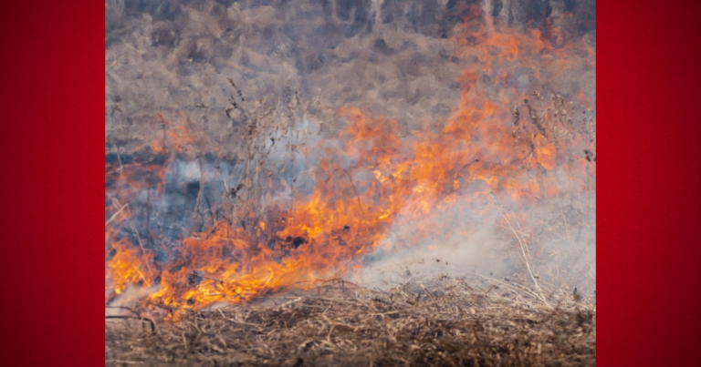 U.S. Forest Service conducting 2840 acre controlled burn in Columbia County
