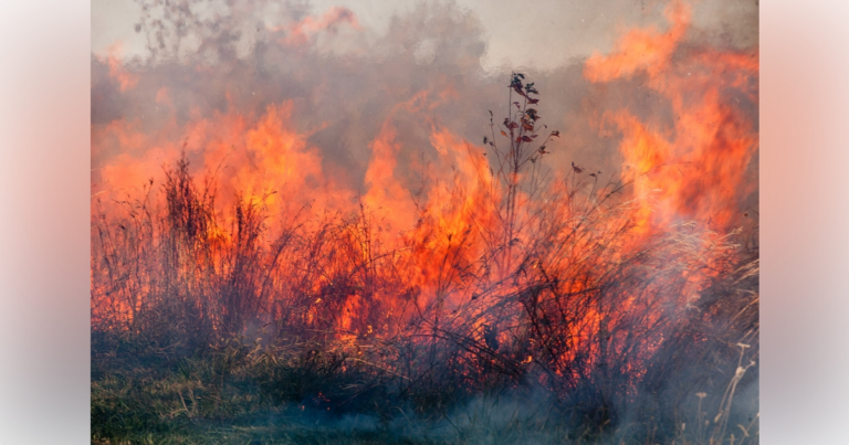 Levy County motorists urged to use caution in area near 117-acre prescribed burn