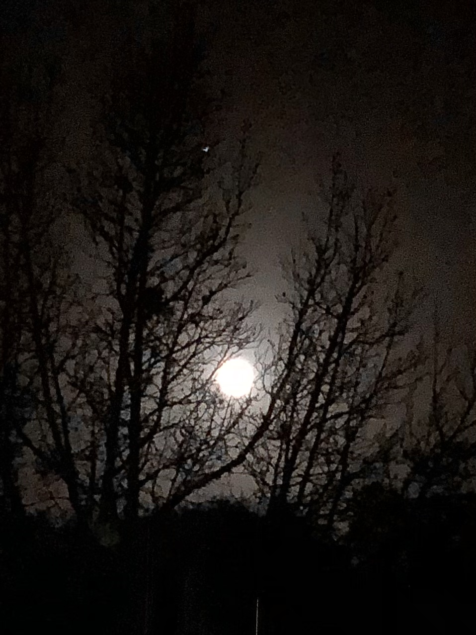 Full Moon Over Rolling Greens Village In Ocala Full Moon Over Rolling Greens Village In Ocala