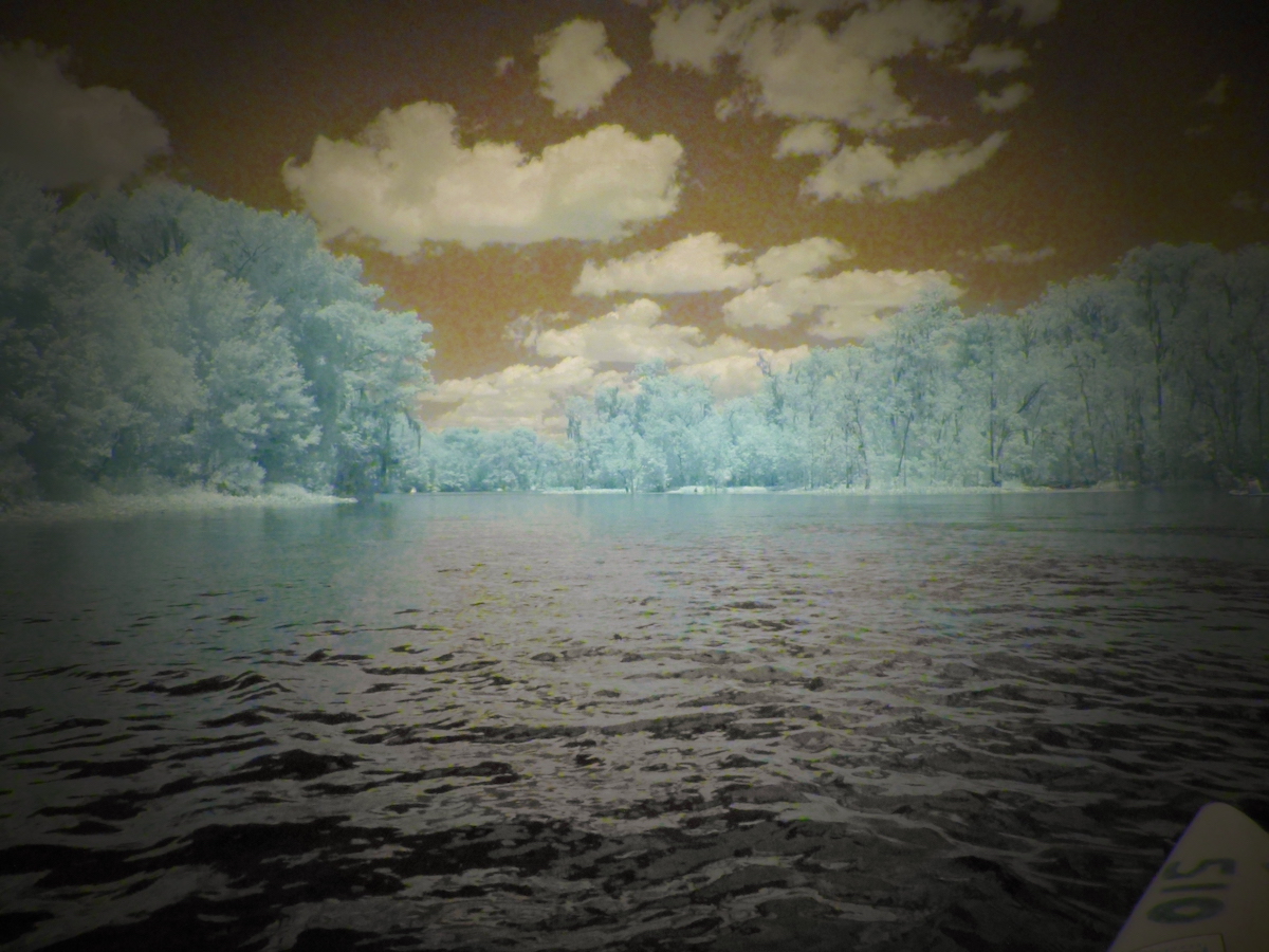 Infrared View Of Silver Springs State Park
