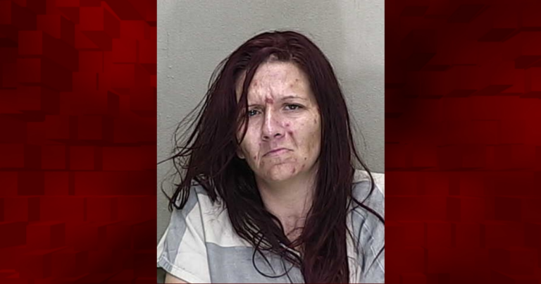 Ocala woman steals over 157 worth of merchandise from Dollar General 1