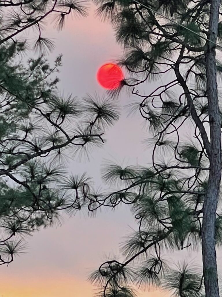 Red Moon Over Ocala