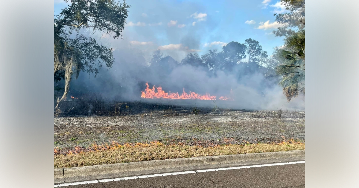 Wildfire extinguished in southwest Ocala