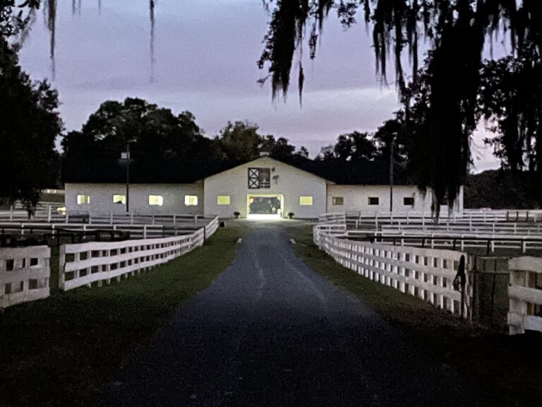 Early Morning At CrownView Dressage In Ocala