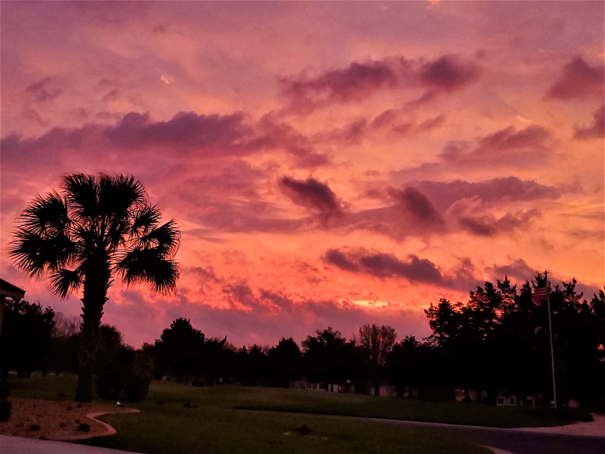 Gorgeous Sunrise In Ocala's Summerglen Community