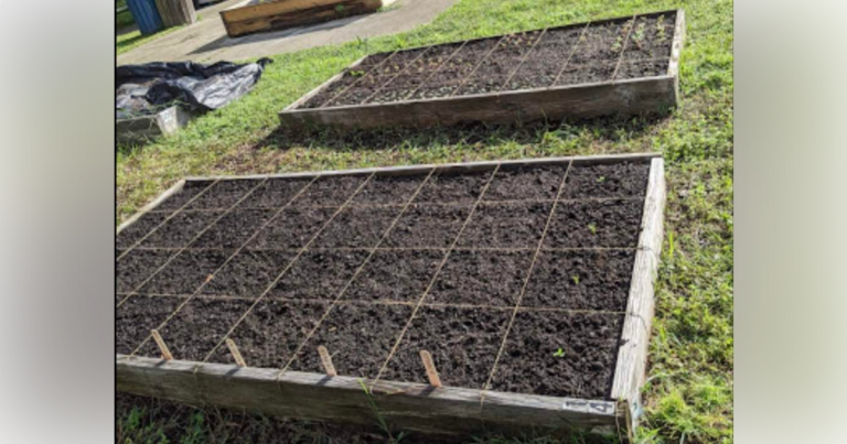 Ocala Wellness Community Garden hosting Garden Replant Day on March 26
