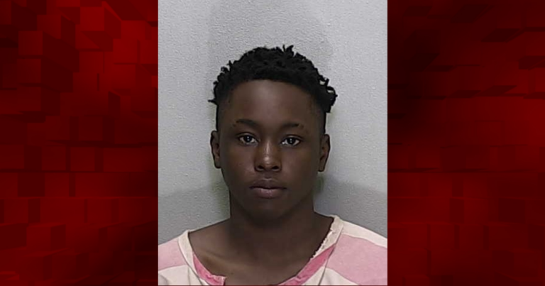 Ocala teenager charged with first degree murder