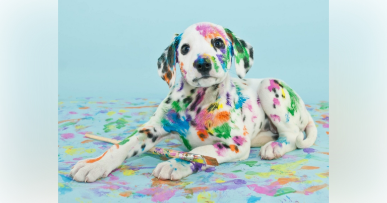 Paint paw-ty for dogs coming to Tuscawilla Art Park