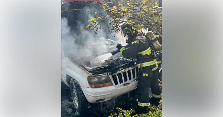 Vehicle fire extinguished at Wawa on S Pine Avenue