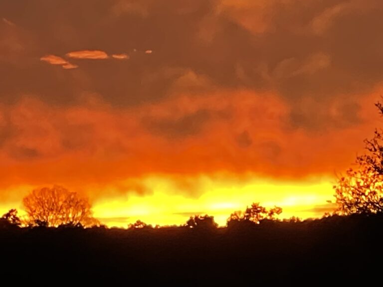 Beautiful Fiery Sunset Over Stone Creek In Ocala