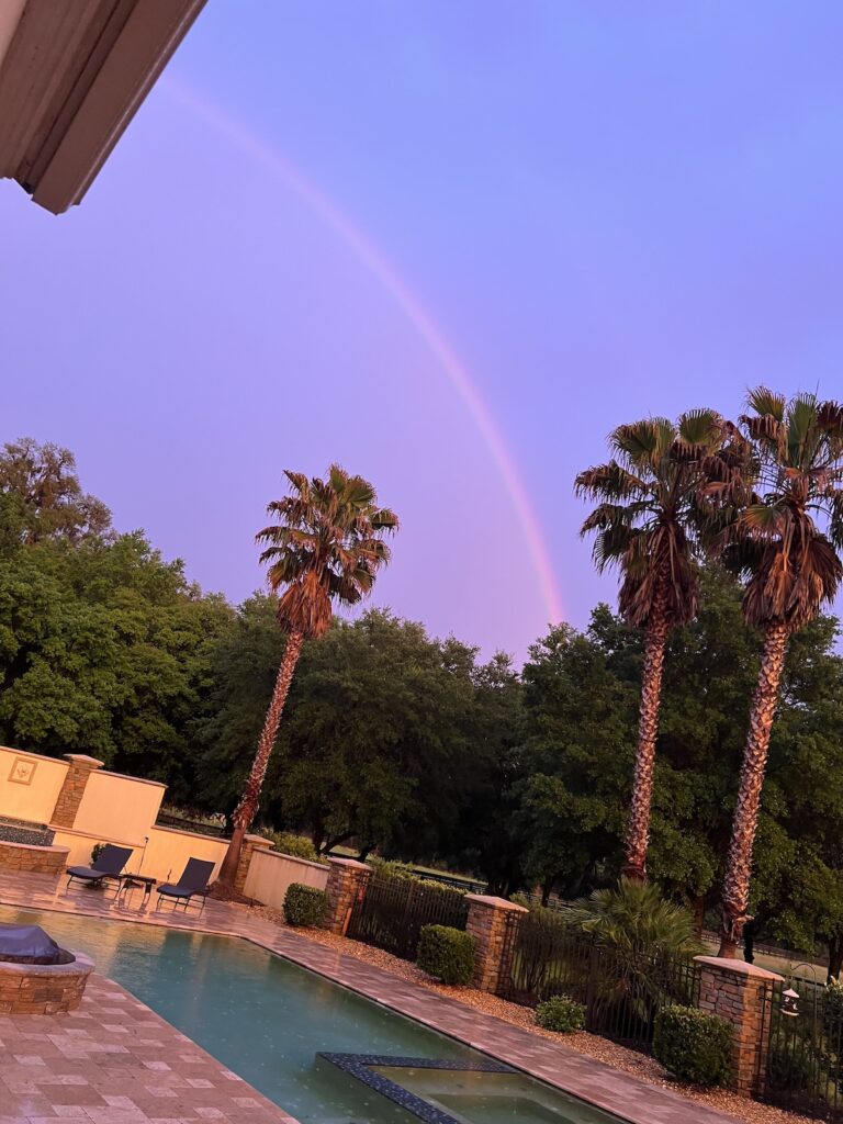 Beautiful Rainbow After Rain In Ocala