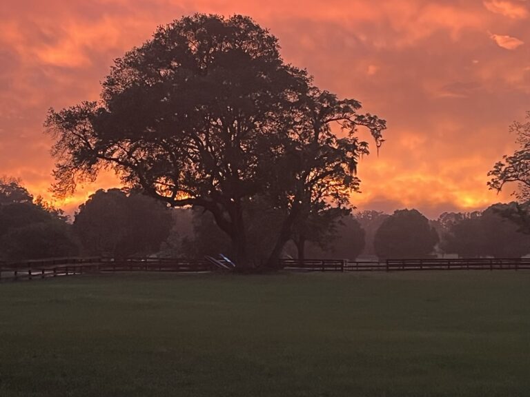 Beautiful Sunset Over Huntsman's Hollow Farm In Morriston