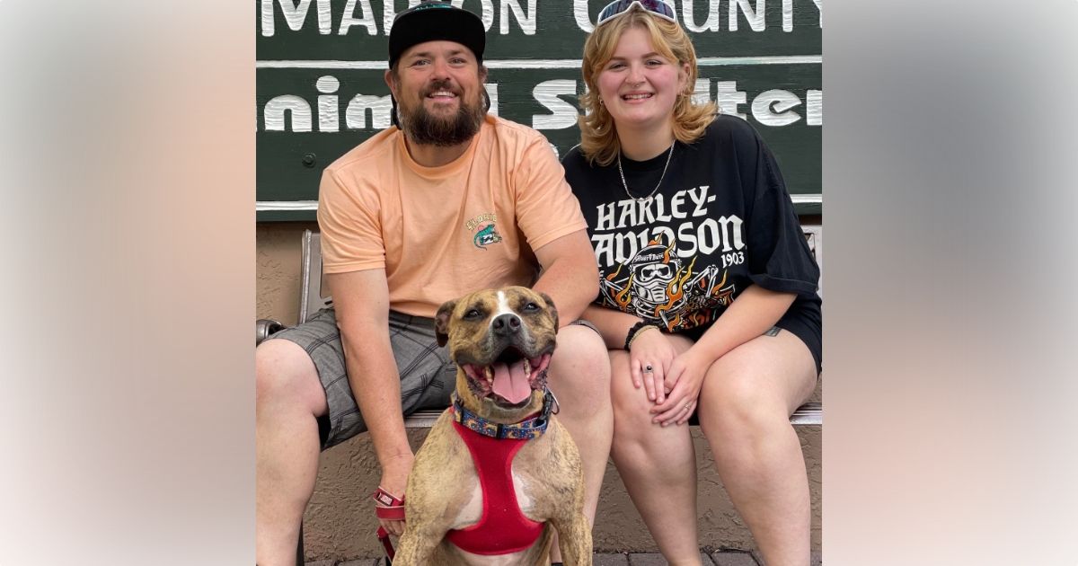 Dog adopted after spending two years at local animal shelter 1