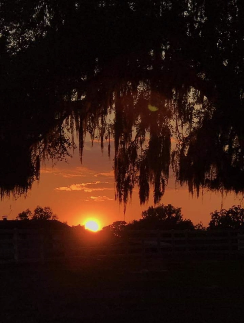 Gorgeous Sunset Over Florida Horse Park In Ocala