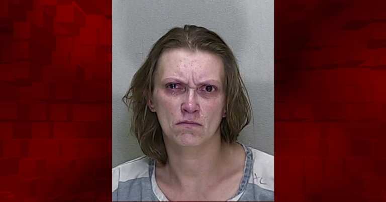 Ocala woman charged with drug trafficking after deputy finds over 30 grams of meth inside vehicle