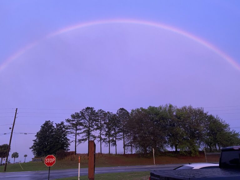 Rainbow After Rainstorm In Belleview