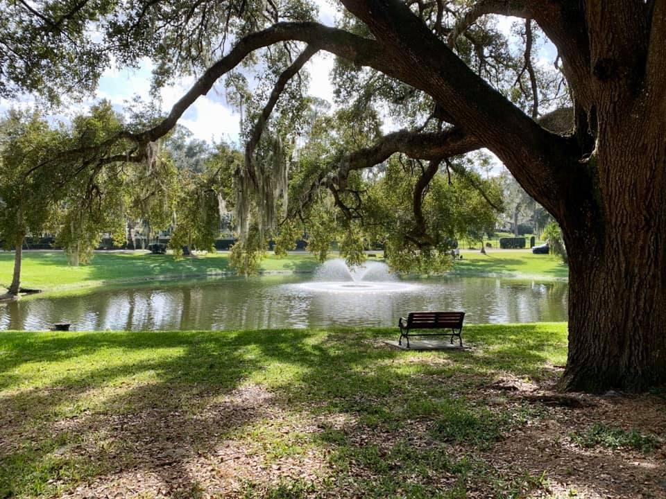 Tranquil Day At Scotty J. Andrews Park In Ocala