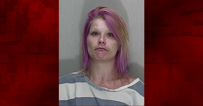 Fort McCoy woman on felony probation arrested after allegedly stealing cosmetic items from local Walmart
