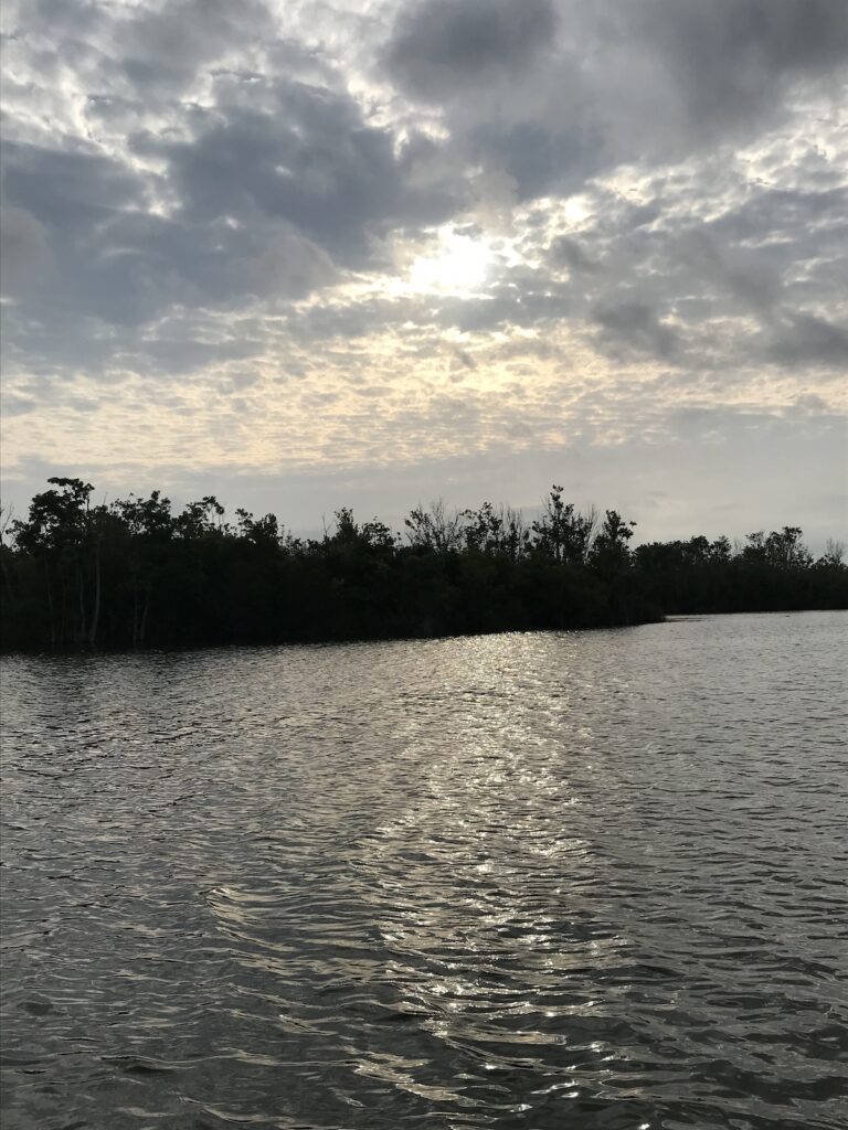 Morning Fishing Trip Down The Ocklawaha River
