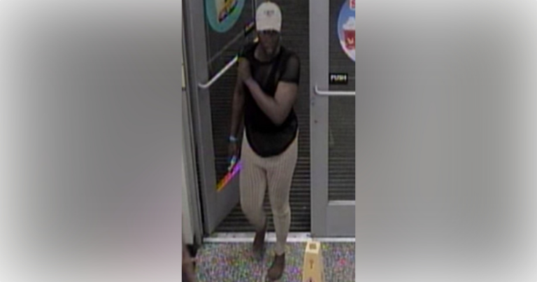 Ocala Police Department asking for public’s help to identify vehicle theft suspect