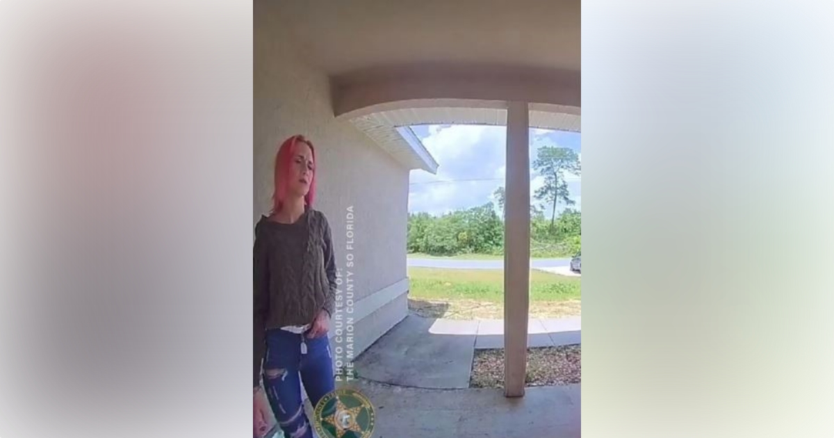 Pink haired female suspect steals over 400 worth of tools from OReilly Auto Parts 3