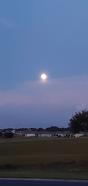 Beautiful Moon Over Southwest Ocala Neighborhood