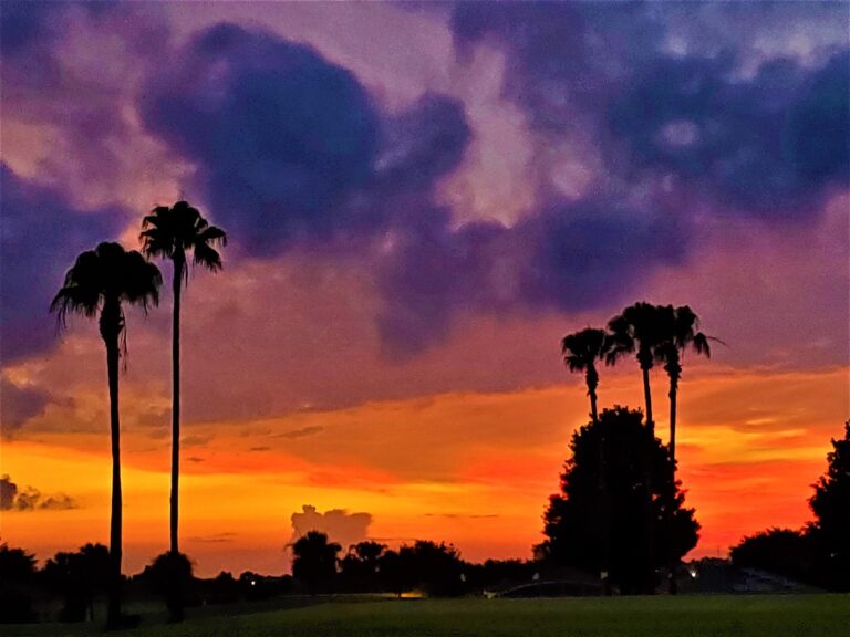 Breathtaking Sunrise In Ocala’s Summerglen Community
