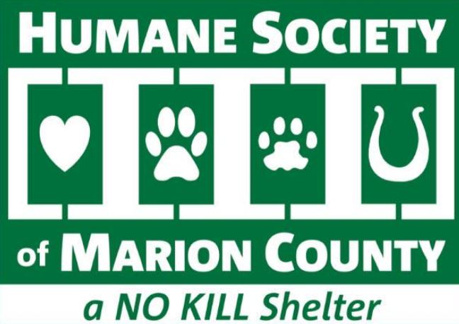 Humane Society of Marion County offers volunteer opportunities