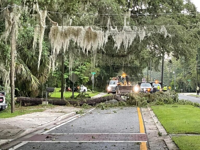 Severe weather topples trees, causes power outages in Marion County