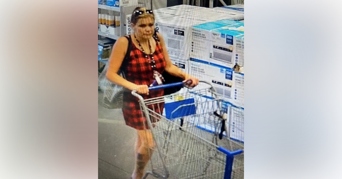 Ocala police seeking help identifying woman who allegedly stole merchandise from Lowes