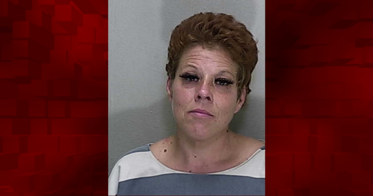 Ocala woman arrested after being accused of stealing multiple items from Winn-Dixie