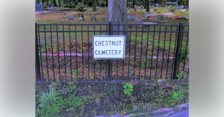 Volunteer cleanup planned at Chestnut Cemetery on July 9