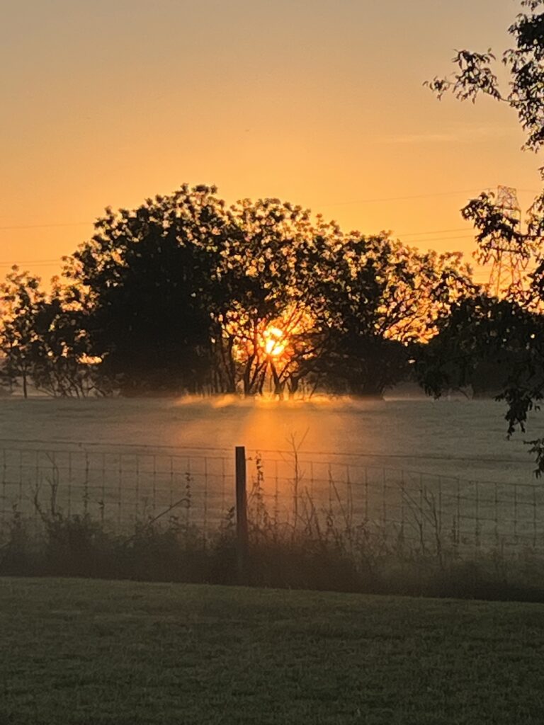 Beautiful Sunrise Over Belleview Pasture