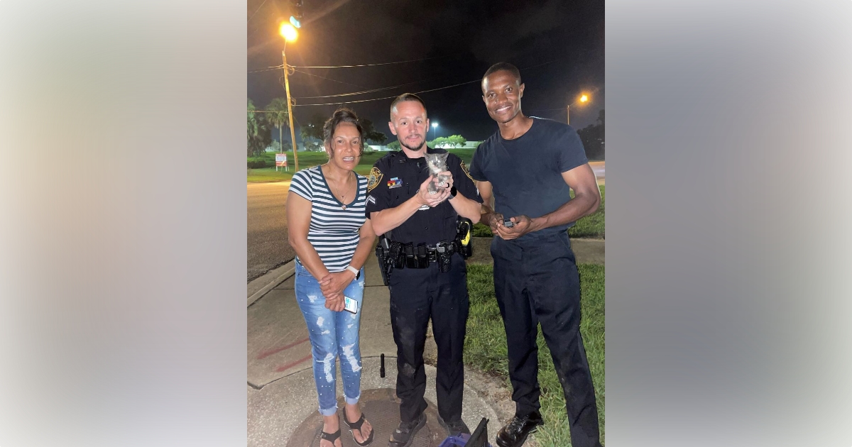 OPD officers rescue kitten from storm drain 1