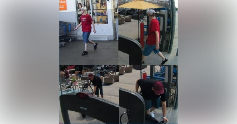 Ocala Police Department investigating Walmart go cart theft 1