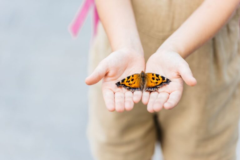 girl holding butterfly feature