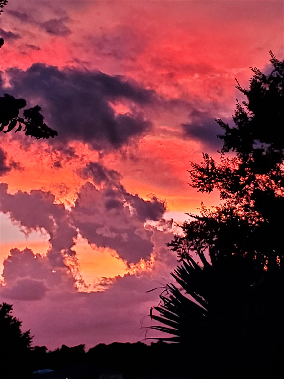 Colorful Evening Sky Above Ocala's Summerglen Community