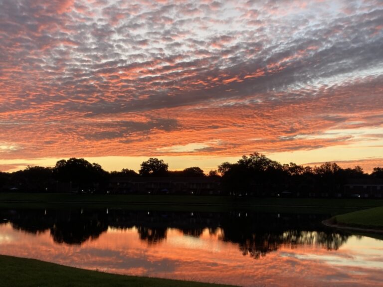 Gorgeous Sunrise At Carlton Arms Apartments In Ocala