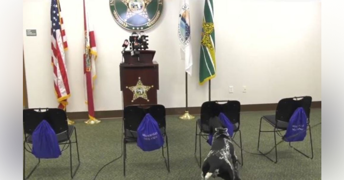 MCSO introduces Albi Marion Countys first firearms detecting police canine 3